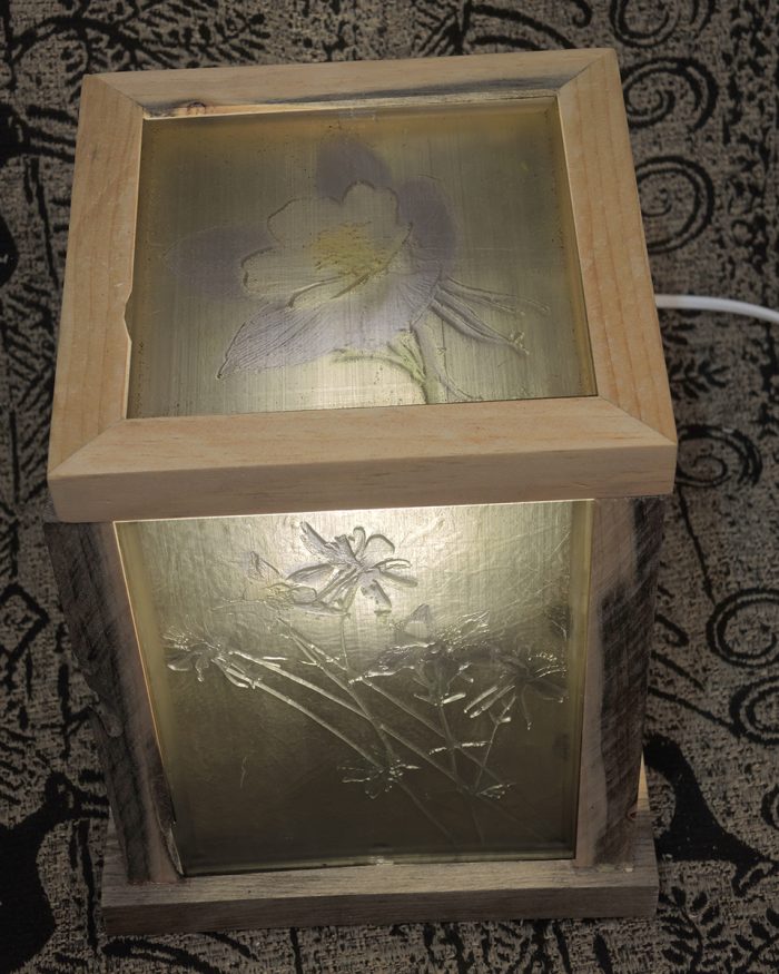 Blue Stain Columbine Lamp