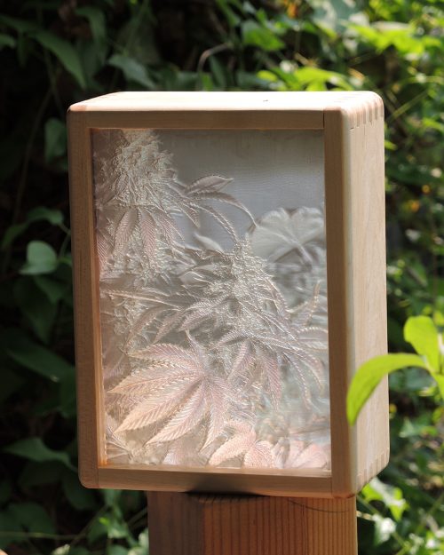 Maple Marijuana Glowbox