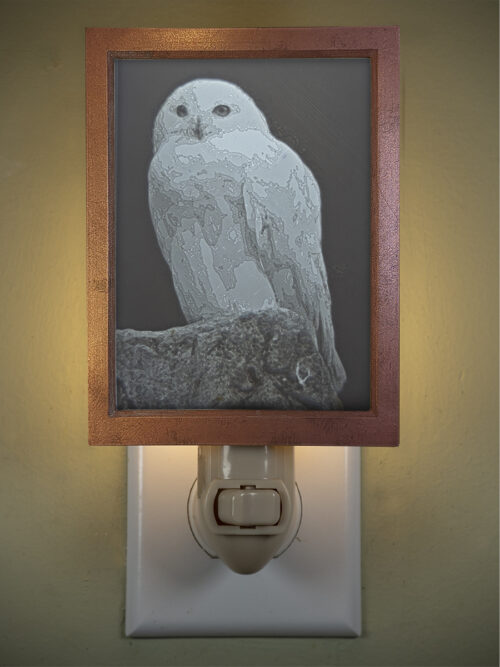 3D printed lithophane LED nightlight owl