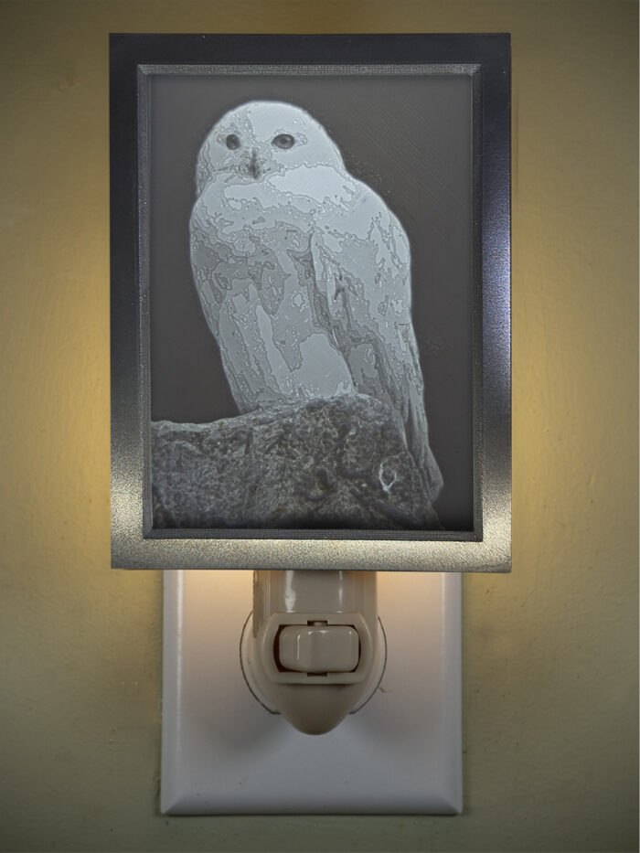 3D printed lithophane LED nightlight owl