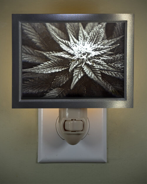 3D printed lithophane LED nightlight marijuana flower bud