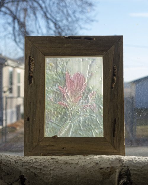 Window Litho Indian Paint Brush 01