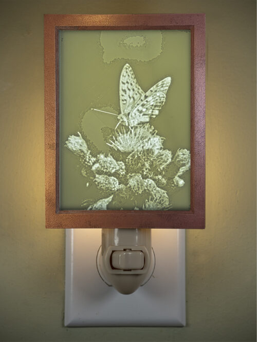 3D printed lithophane LED nightlight butterfly