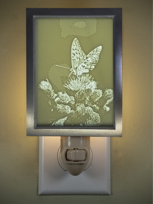 3D printed lithophane LED nightlight butterfly