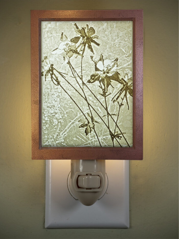 3D printed lithophane LED nightlight Columbine Wildflower