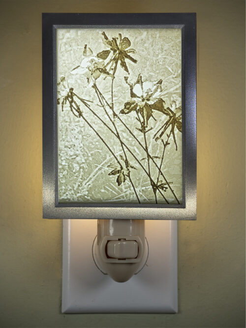 3D printed lithophane LED nightlight Columbine Wildflower