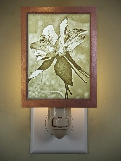 3D printed lithophane LED nightlight Columbine Wildflower