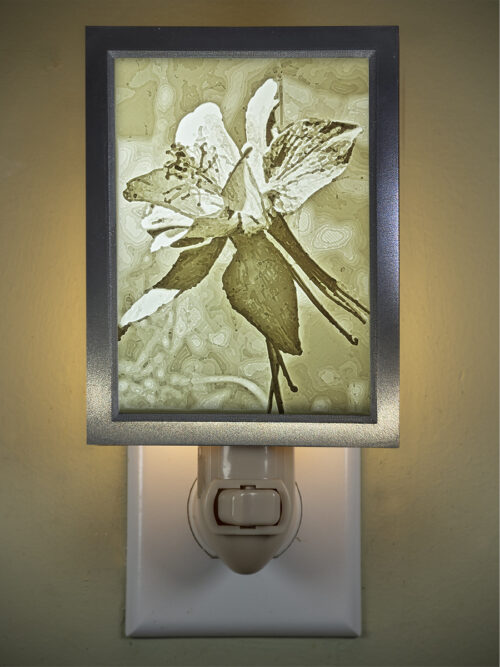 3D printed lithophane LED nightlight Columbine Wildflower