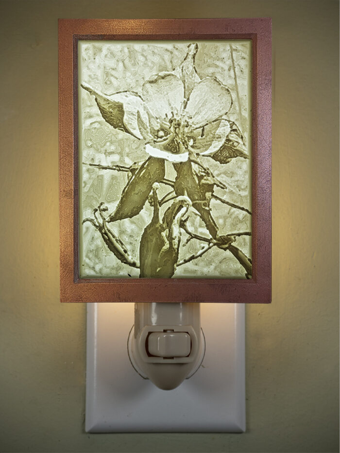 3D printed lithophane LED nightlight Columbine Wildflower