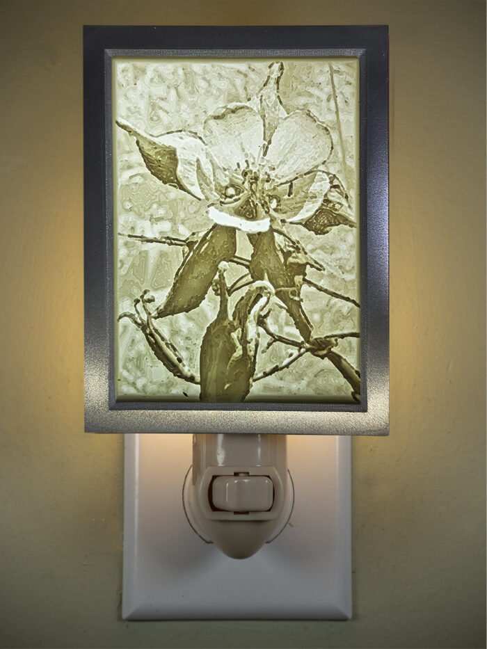 3D printed lithophane LED nightlight Columbine Wildflower