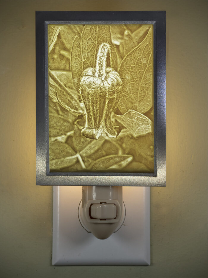 3D printed lithophane LED nightlight Wildflower sugarbowl