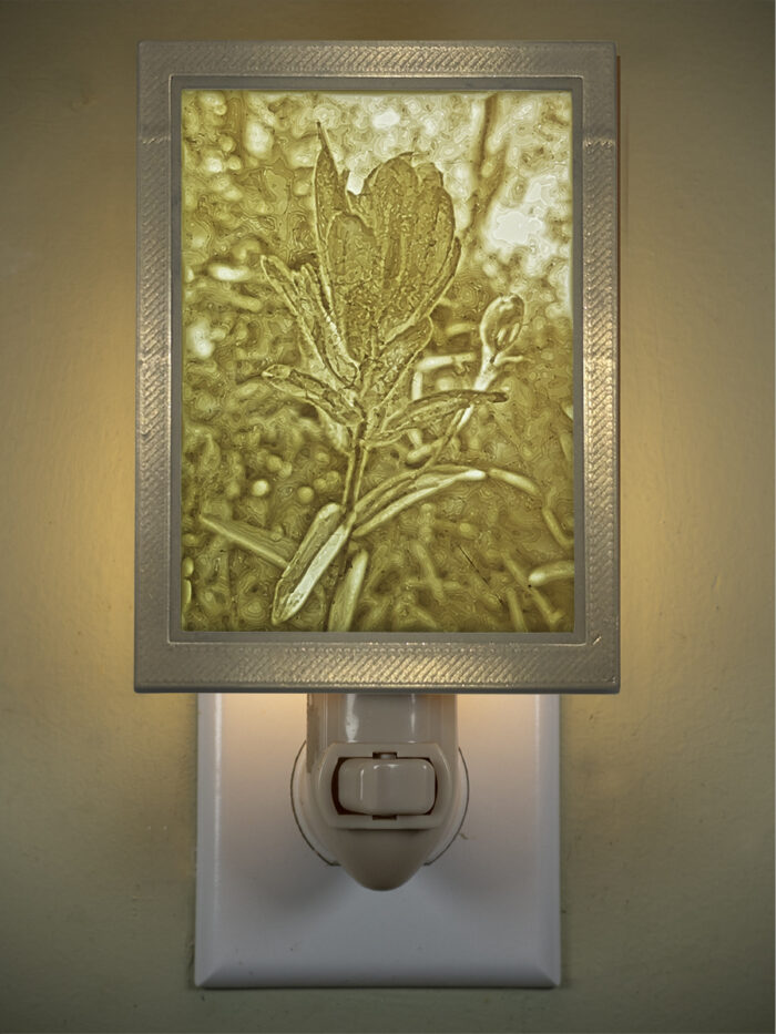 3D printed lithophane LED nightlight Wildflower