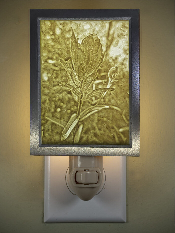 3D printed lithophane LED nightlight Wildflower